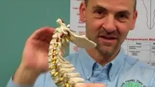 over the shoulder exercise - restore the neck curve - markham chiropractor