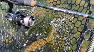 #tforods new trout and panfish rod &ldquo;The Pastime&rdquo; made in the USA full video and review this week