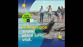 Is Galapagos a safe destination?