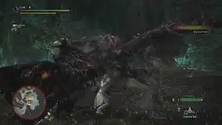 Hellis Fiend Vaal Hazak, Solo Assignment, Anja Arch III Bow!