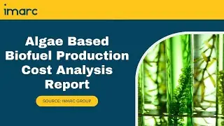Detailed Report on Algae Based Biofuel Production Plant Setup