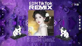 忘了如何遗忘(Funky House2026国语女版Mix) (抖音DJ版)『失去你的悲伤分解了我的世界，携手过的每段风景都难以忘却。』抖音中文EDM神曲｜最強節奏Remix合集｜TikTok｜抖音