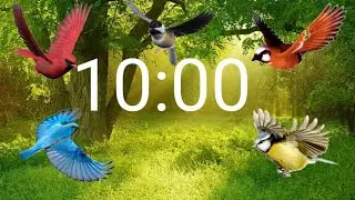 10 minute timer birds sound🐦| 10 Minute Timer Birds Chirping Relaxing Sounds |Globus RelaxingMusic