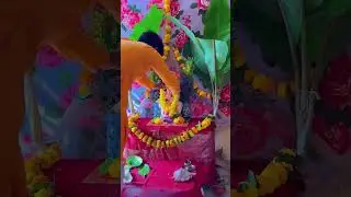 Deva Shree Ganesh 🙏🏻🌼 #youtube #shreeganesh #deva #youtubeshorts #viralshorts #public #reaction