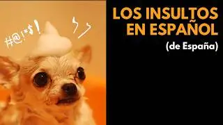 Spanish Insults You Need to Know 🇪🇸 (Advanced Learners)
