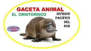 ANIMAL GAZETTE - PLATYPUS - SOUTH PACIFIC DIVISION - CHILDREN'S MINISTRY