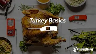 How to Cook a Turkey: Thaw, Brine & Oven Basics!