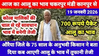 औरैया जिले के 75 साल के अनुभवी किसान ने बता दिया कब आएगी आलू कें भाव में तूफानी तेजी || Aalu Ka Bhav