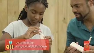 Toysmith Beetle & Bee Build a Bird Bungalow, Backyard Birdhouse Kit