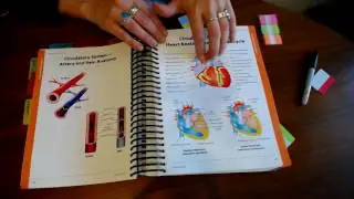 Tabbing the ICD10CM Coding Book