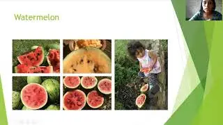 Buffalo Seed Company - KC Farm School 2020