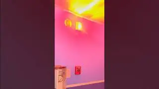 Evacuate the Building Now!
