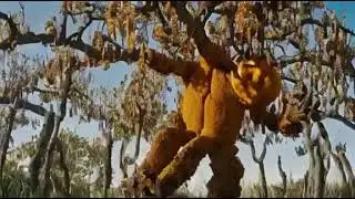🌳🍊 Rotten Orange Fruit Tree Monster: Hauntingly Realistic Encounter 📸👻