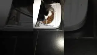 Surefeed ne lui r&eacute;siste pas!