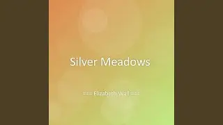Silver Meadows