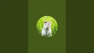 deshi vologs10 is live cat ctas so raha he