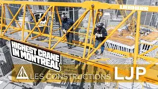 How to disassemble a tower crane at 200+ meters? LIEBHERR 380ECB