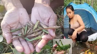 Primitive Life | Catch Bug Grasshoppers In Village टिड्डा #primitive #survival #villagelife