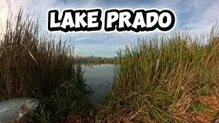 🎣 После работы ловля форели на озере Прадо #рыбалка 🎣 Trucha