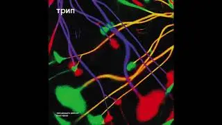 Kyoka - Link on Trip Recordings