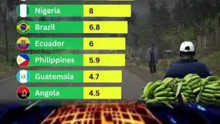 World's Top Banana Producing Countries: Annual Production in Million Tonnes