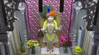 12th November 2025 - Morning Darshan