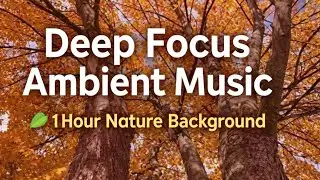 Deep Focus Ambient Music 🌿 1 Hour Relaxing Nature Background for Work, Study & Meditation