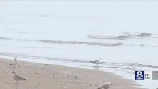 Durand Eastman Beach closed again: Experts explain why