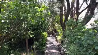 Mangawhai, Northland, New Zealand 