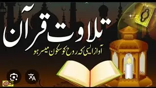 Qari Muhammad Asghar | Beautiful Quran Recitation | Heart Touching Tilawat e Quran | Holy Quran