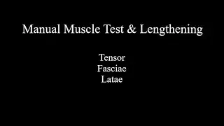 Manual Muscle Test & Lengthening - Tensor Fasciae Latae