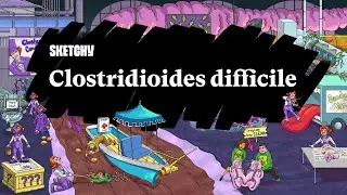 Clostridioides difficile: Infection Fundamentals (Part 1) | Sketchy Medical | USMLE Step 1