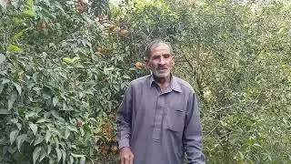 Malton ka bagh