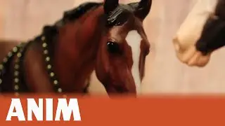 ANIM || Character Intro