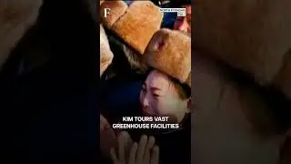 Kim Jong Un Catches Fish with Bare Hands, Inaugurates Greenhouse Farm in North Korea | N18G