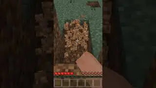 Minecraft But i not touch the grass #minecraft #shorts #rishii