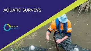Meet North East Link's Aquatic Team