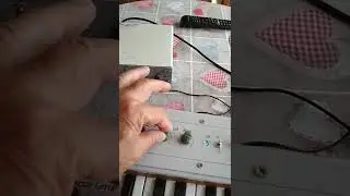 Wersi Matic 24b