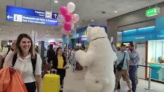 Gift Delivery / Сюрприз в аэропорту, Белый Мишка в Афинах / Встреча ваших гостей в аэропорту.