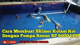 Cara Membuat Skimer Kolam Koi Dengan Pompa Resun SP 600 LPH