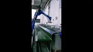 Yaskawa Robot