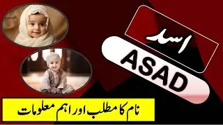 Asad Name Meaning | Asad Lucky Day | Asad Lucky Stone | Asad Numerology