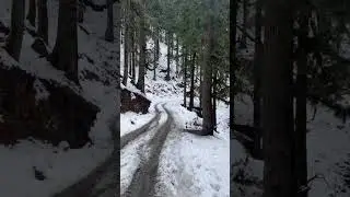 Beautiful Views of Heavy Snow in Himachal Pradesh ..#❄️ #himachalpradesh #viral #mandihimachal