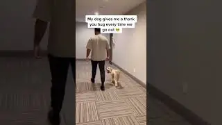 My dog gives me a thank you hug every time we go out #shorts #viral #dogsoftiktok