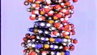 Molecular Dynamics of Solutions - ACM Siggraph 1987