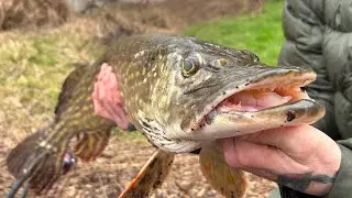 Urban pike fishing in one of London most notorious estates