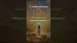 A Collection of Light