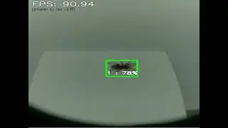 HunterG: Camera view - spider detection