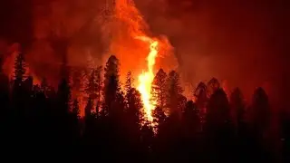 East Texas braces for elevated wildfire risk early in 2026