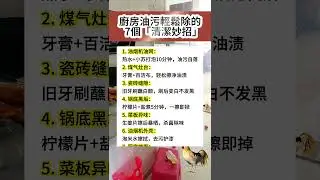 廚房乾淨，做飯都開心！#廚房清潔 #生活小妙招 #居家技巧